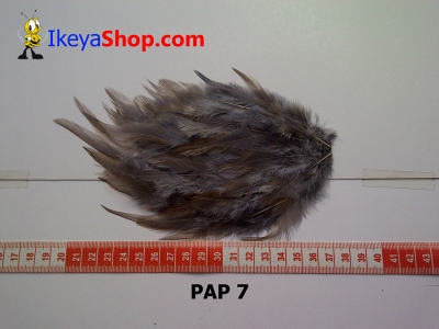 bulu PAD polos PAP 7   feather  large2